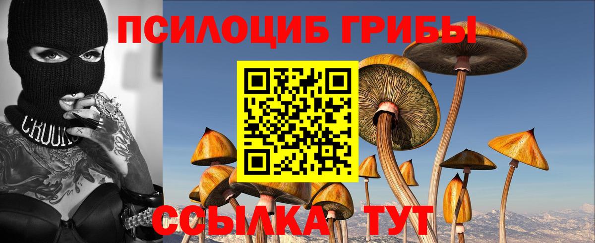 Нефтекумск  Псилоцибиновые грибы мухоморы  Галлюциногенные грибы прущие грибы  Вход с VPN 